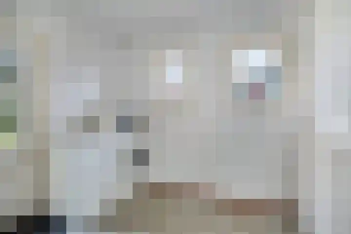 Driebergenlaan 3 Rosmalen thumbnail 19