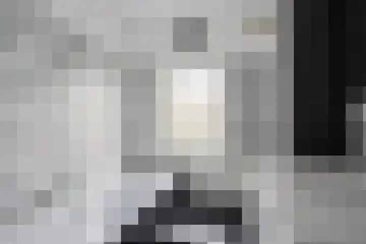 Driebergenlaan 3 Rosmalen thumbnail 21