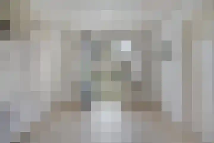 Driebergenlaan 3 Rosmalen thumbnail 23