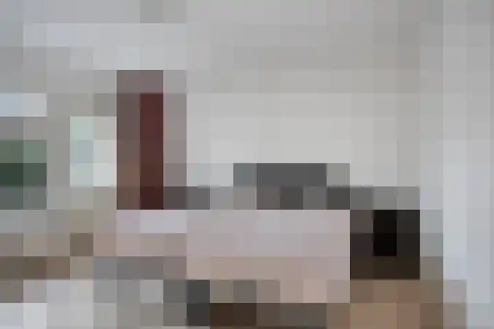 Driebergenlaan 3 Rosmalen thumbnail 29