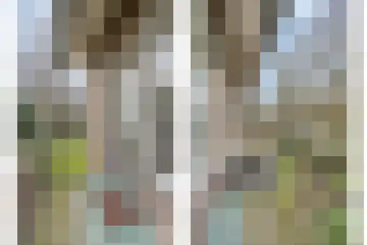 Driebergenlaan 3 Rosmalen thumbnail 31