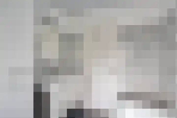Driebergenlaan 3 Rosmalen thumbnail 32