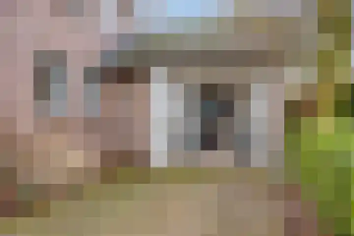 Driebergenlaan 3 Rosmalen thumbnail 4