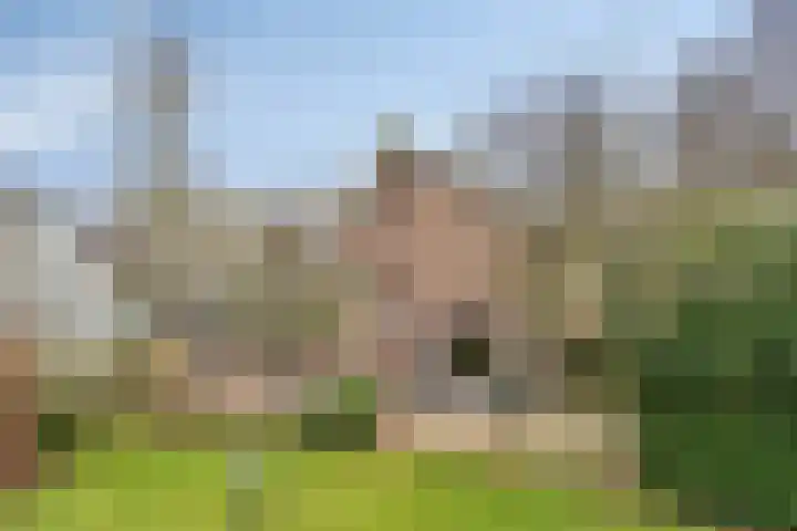 Driebergenlaan 3 Rosmalen thumbnail 40
