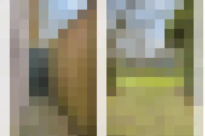 Driebergenlaan 3 Rosmalen thumbnail 41