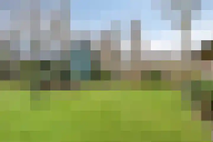 Driebergenlaan 3 Rosmalen thumbnail 43