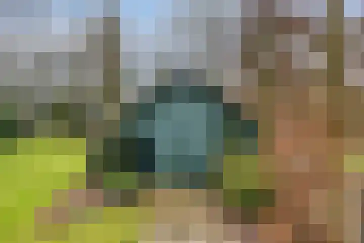 Driebergenlaan 3 Rosmalen thumbnail 44