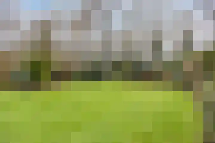 Driebergenlaan 3 Rosmalen thumbnail 46