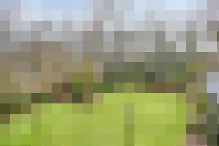 Driebergenlaan 3 Rosmalen thumbnail 47
