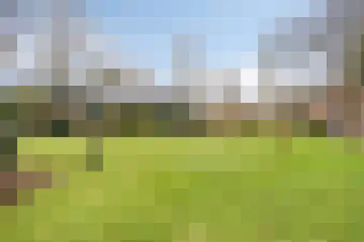 Driebergenlaan 3 Rosmalen thumbnail 48
