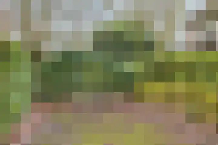 Driebergenlaan 3 Rosmalen thumbnail 49
