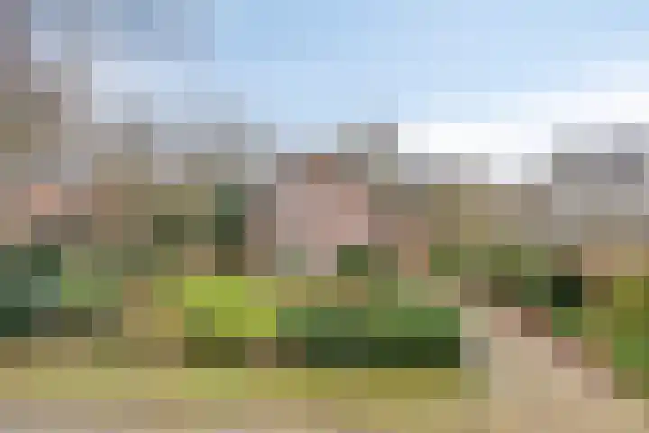 Driebergenlaan 3 Rosmalen thumbnail 50