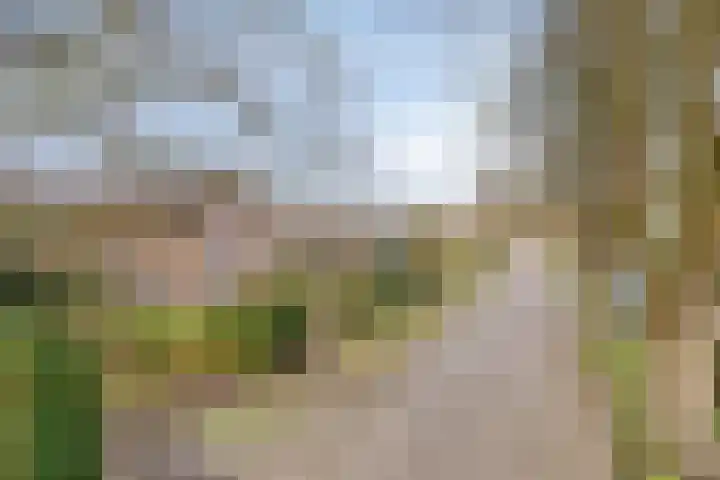 Driebergenlaan 3 Rosmalen thumbnail 52