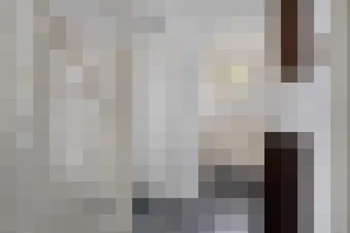 Driebergenlaan 3 Rosmalen thumbnail 6