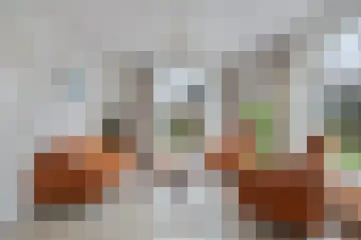 Driebergenlaan 3 Rosmalen thumbnail 8