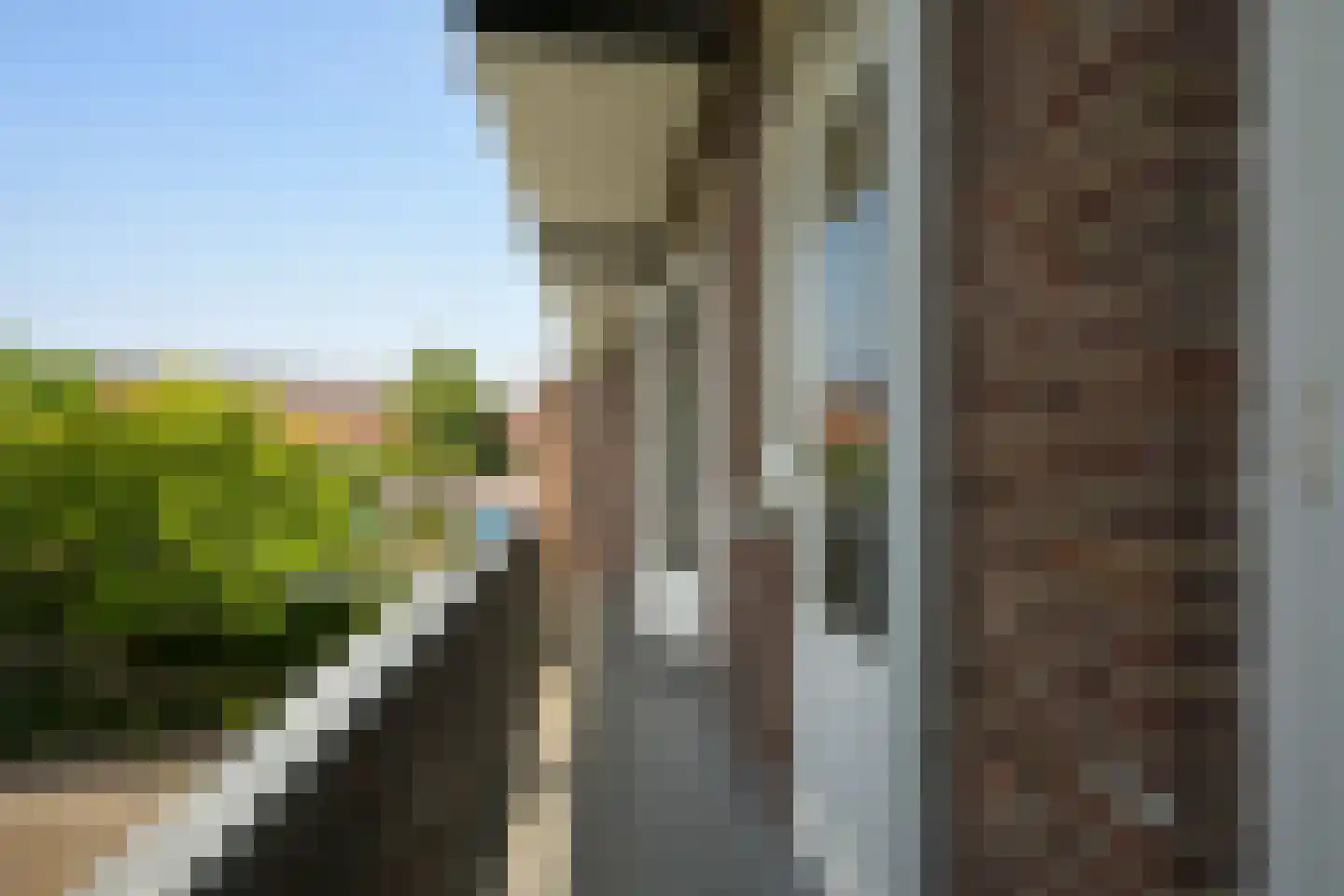 Driebergenstraat 111 Den Haag thumbnail 20