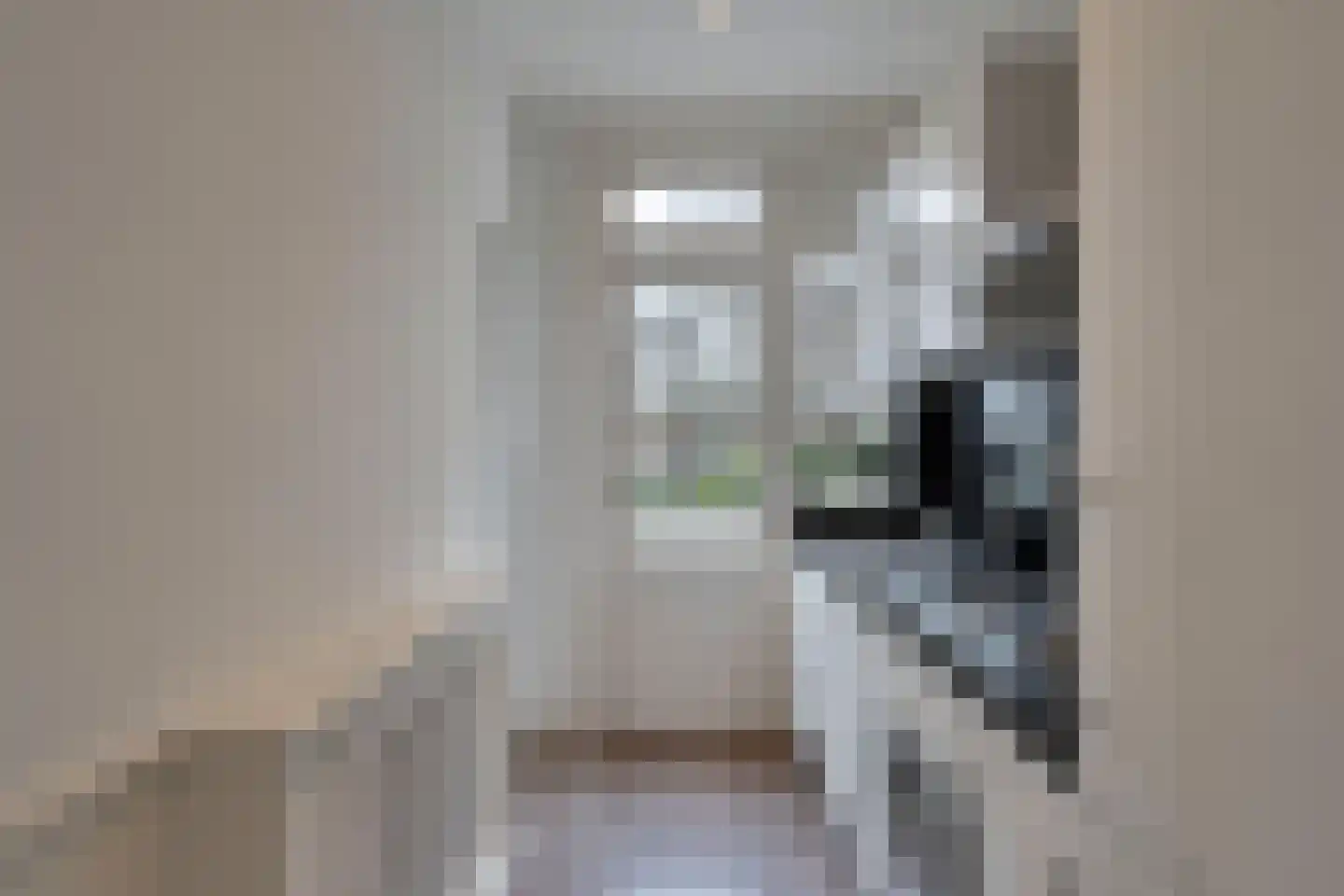 Driebergenstraat 21 Den Haag thumbnail 6