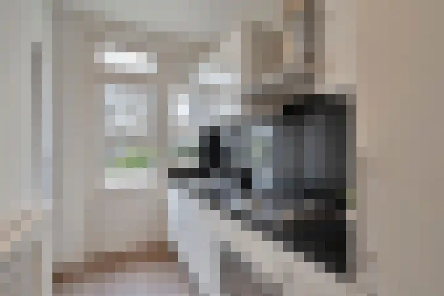 Driebergenstraat 21 Den Haag thumbnail 7