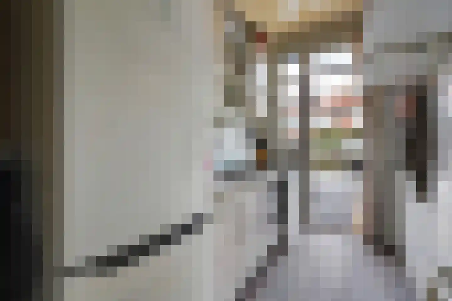 Driebergenstraat 281 Den Haag thumbnail 9