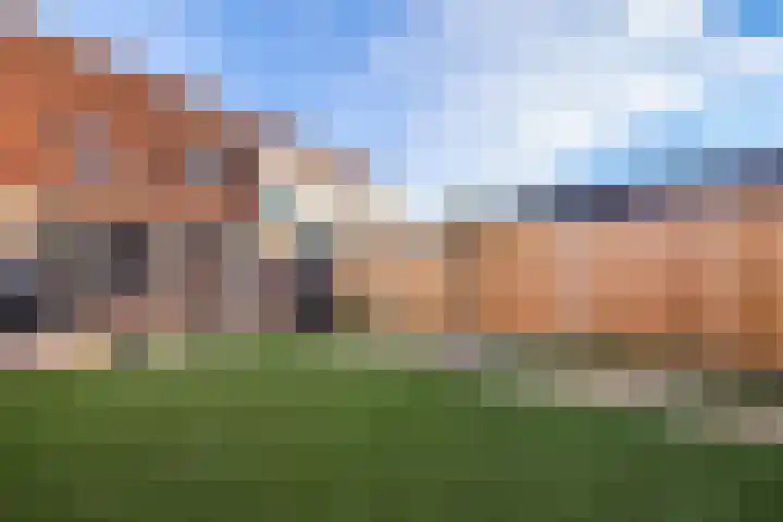 Driebergenstraat 9 Tilburg thumbnail 38