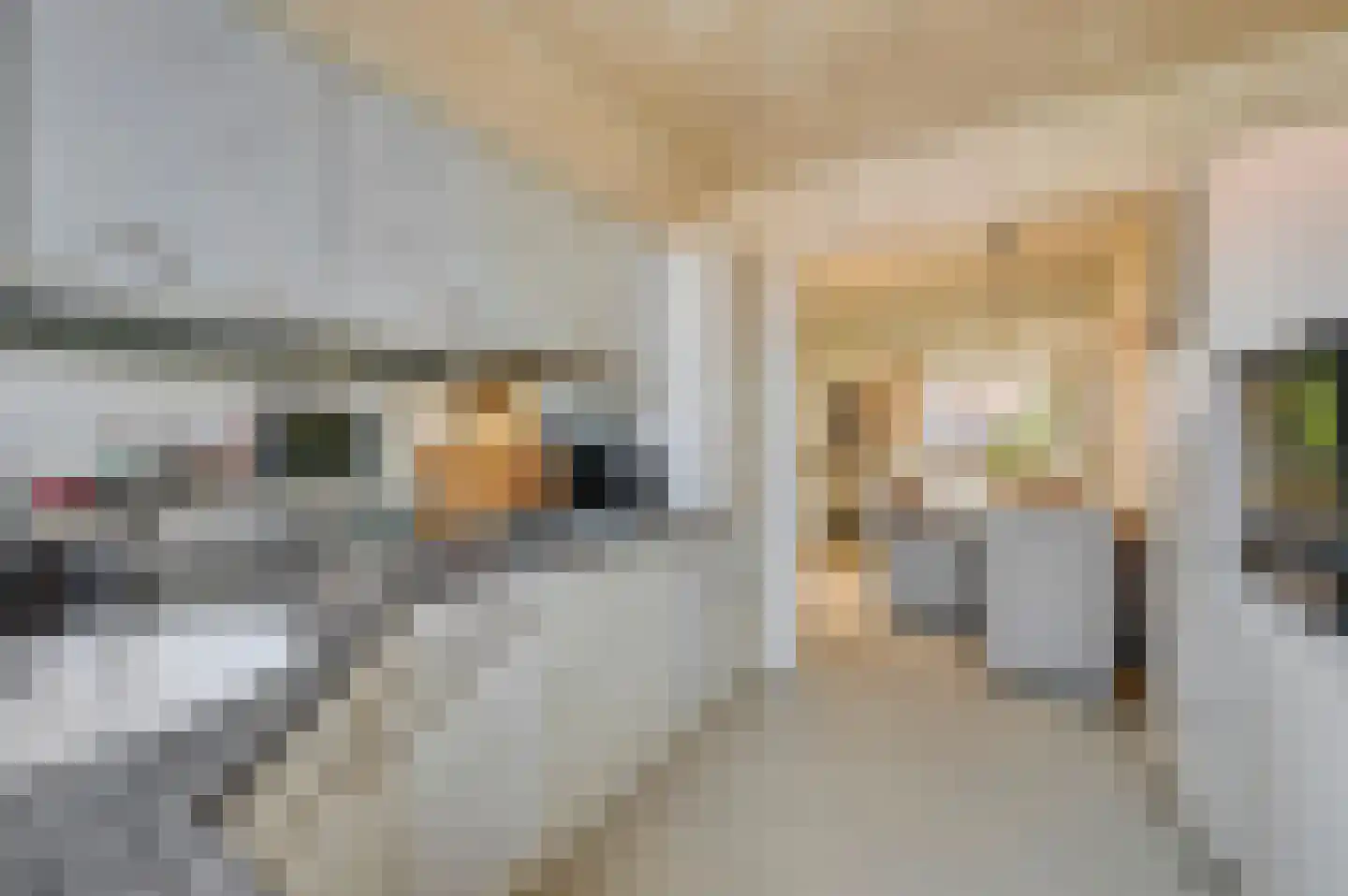 Driebergenstraat 91 Den Haag thumbnail 8