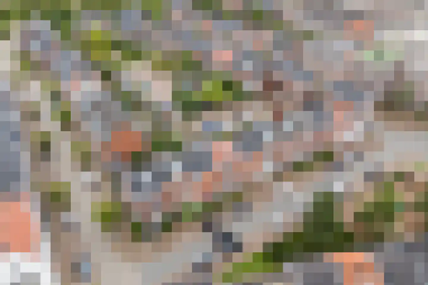Driebergsebos 34 Vleuten thumbnail 73