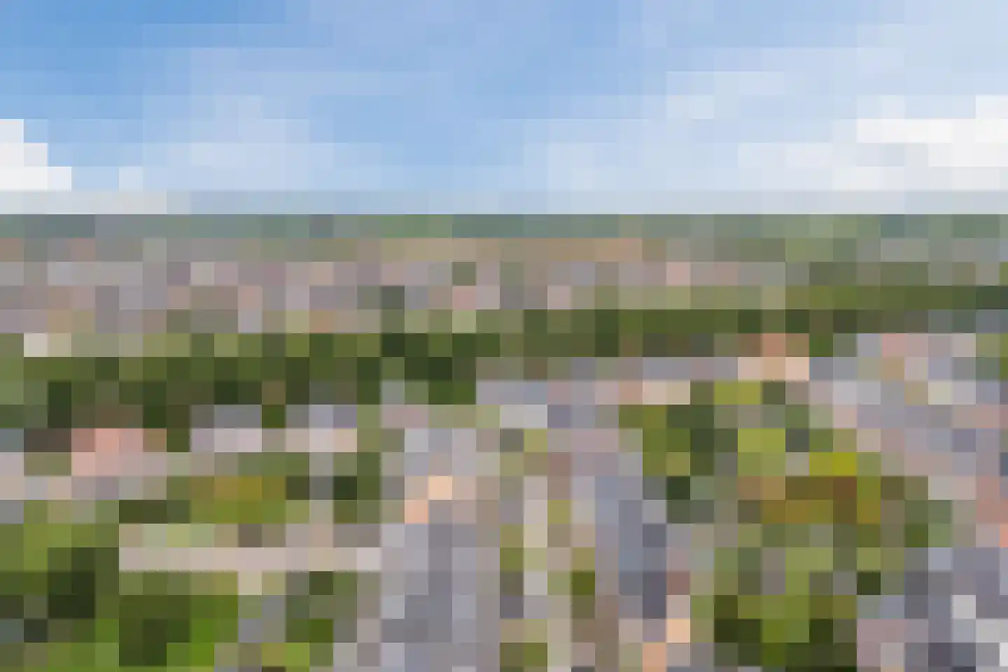 Driebergsebos 34 Vleuten thumbnail 74