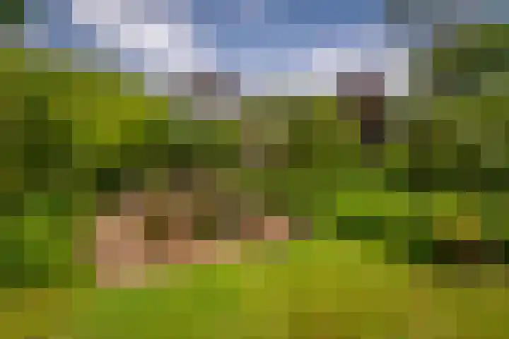 Driebergsestraatweg 39 Doorn thumbnail 40