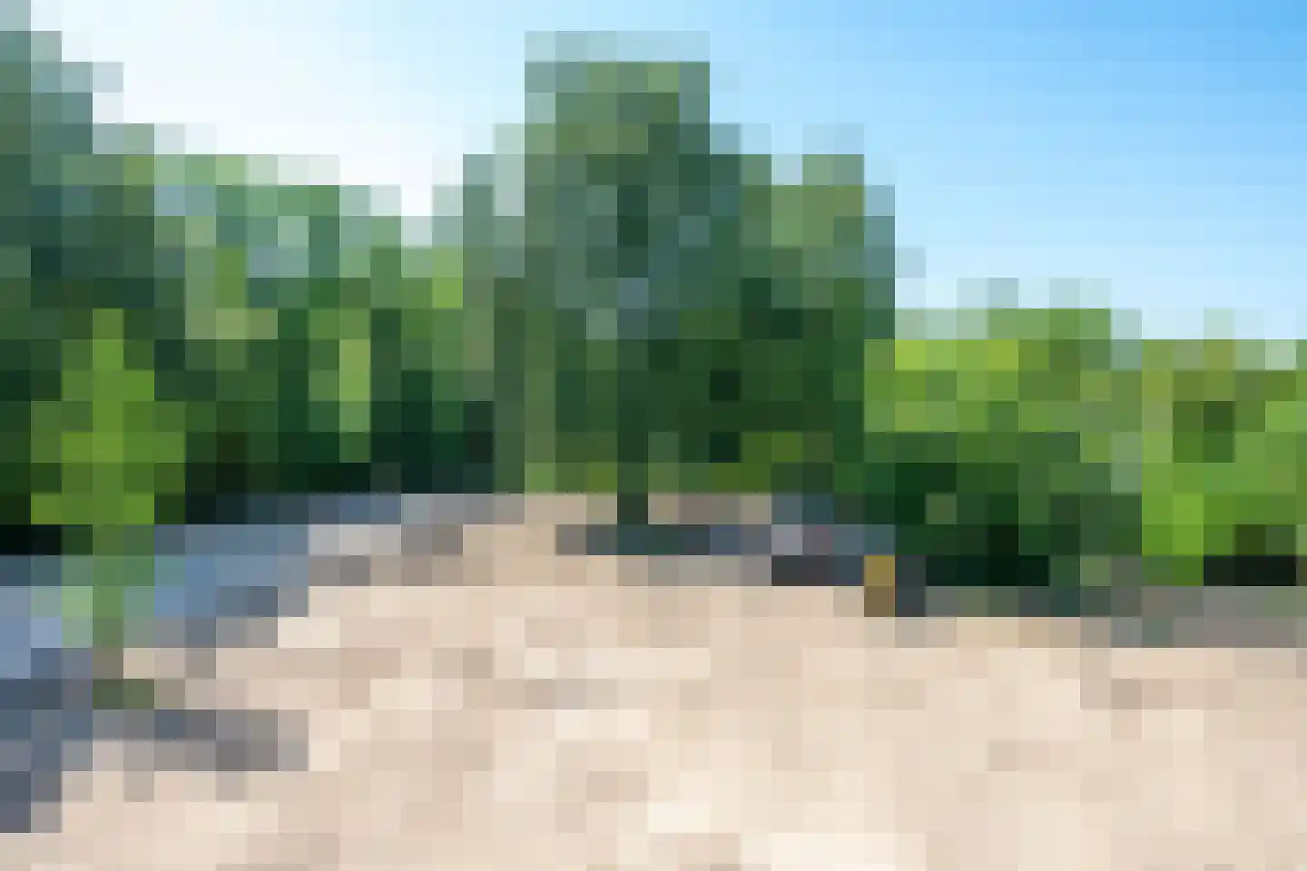 Driebergsestraatweg 63 D Doorn thumbnail 24