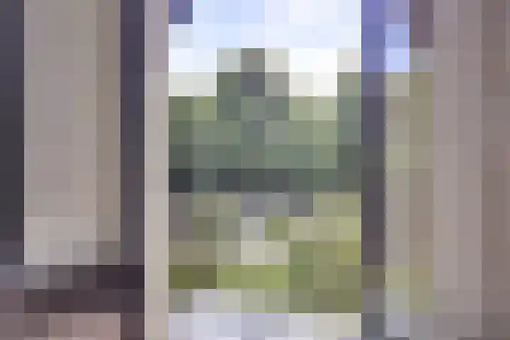 Driebergseweg 5 Zeist thumbnail 37
