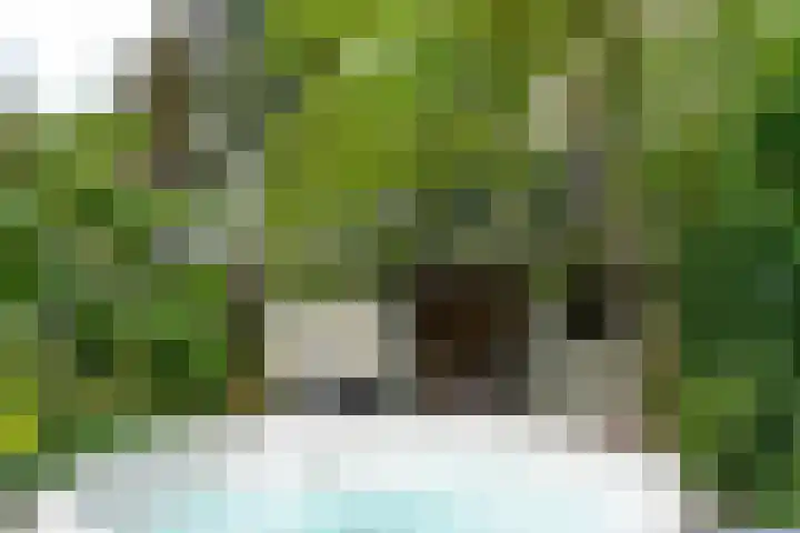 Driebergseweg 5 Zeist thumbnail 38