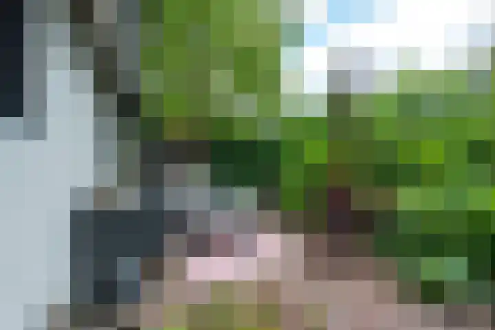 Driebergseweg 5 Zeist thumbnail 61