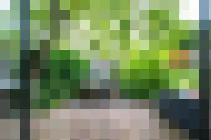 Driebergseweg 5 Zeist thumbnail 62