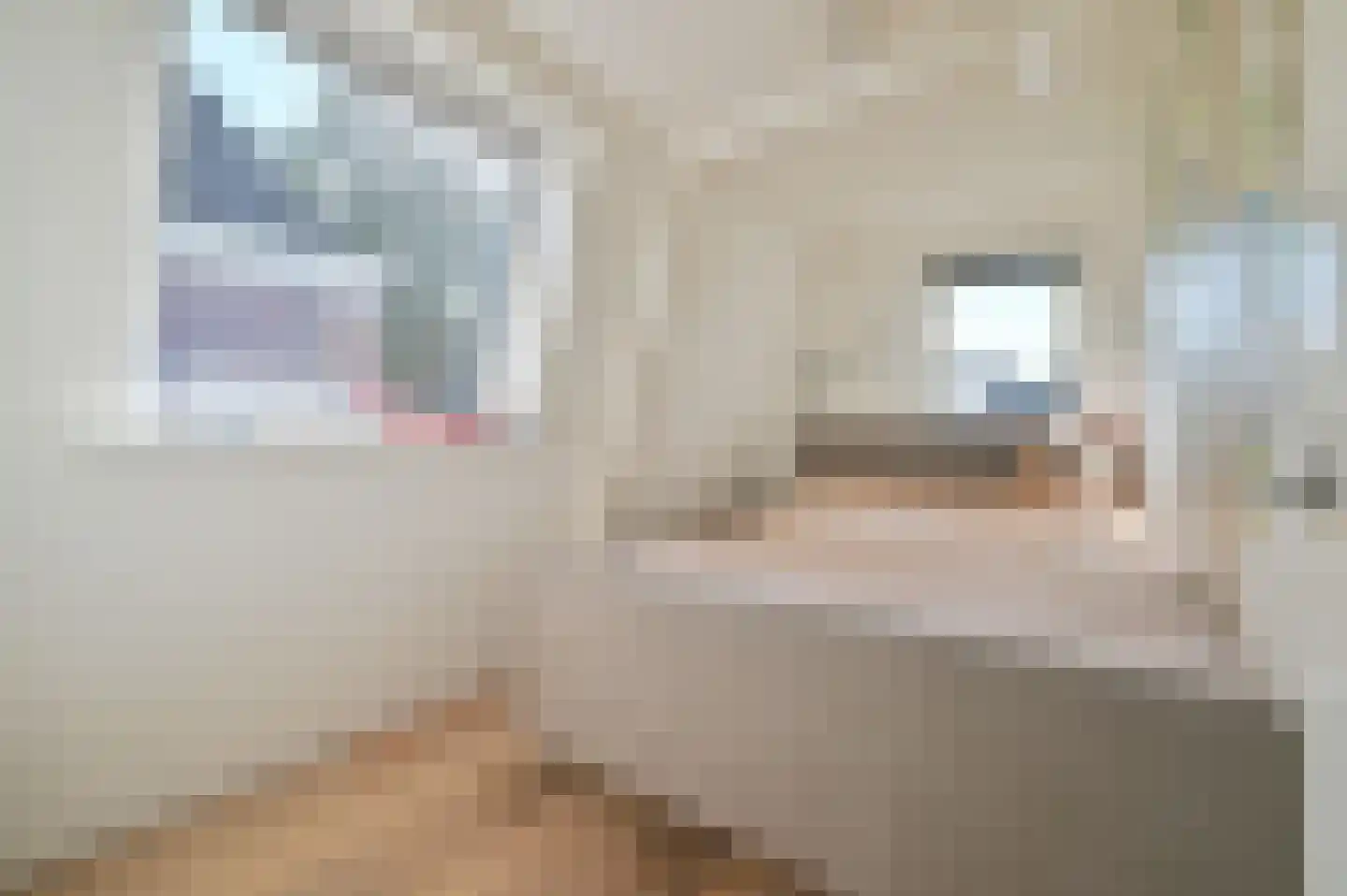 Drieboomlaan 123 Hoorn thumbnail 22