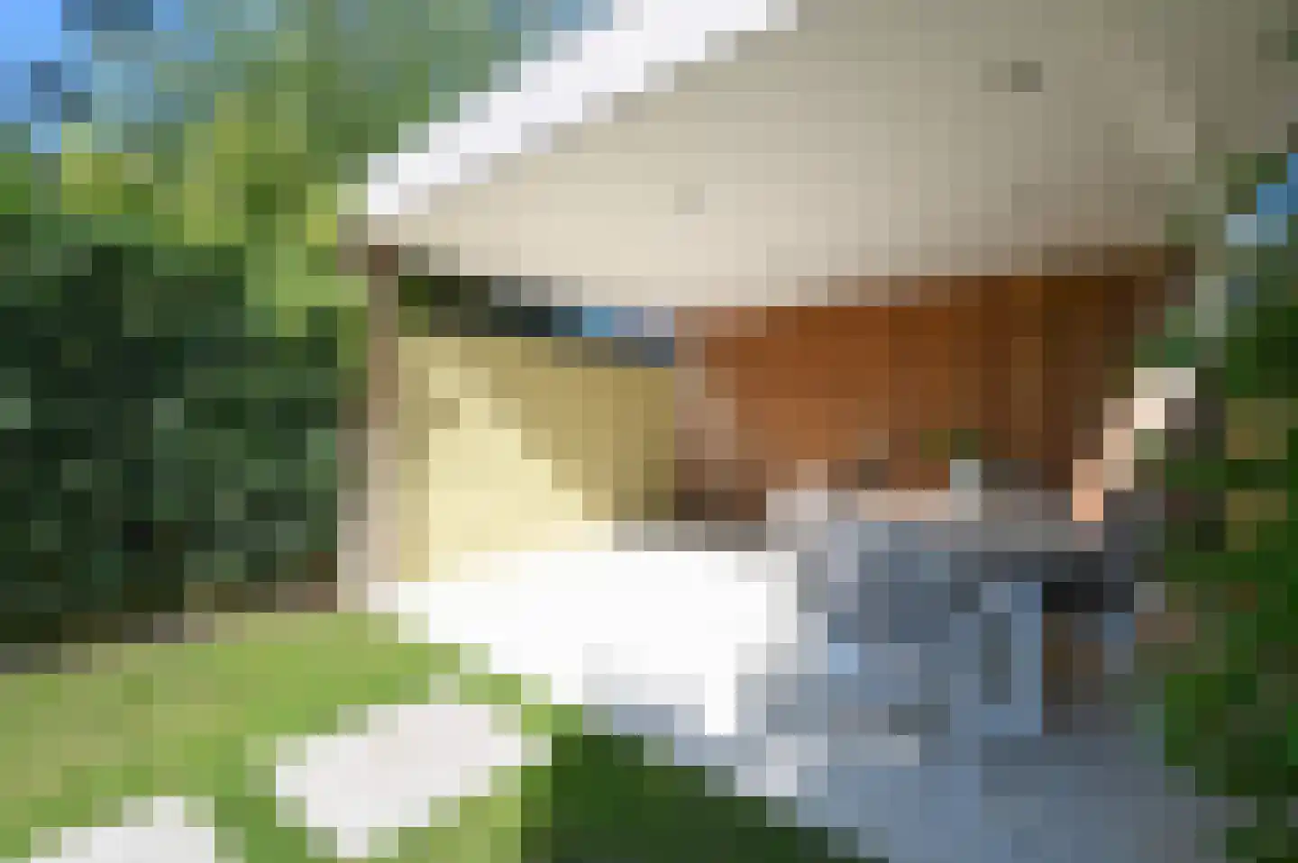 Drieboomlaan 123 Hoorn thumbnail 29