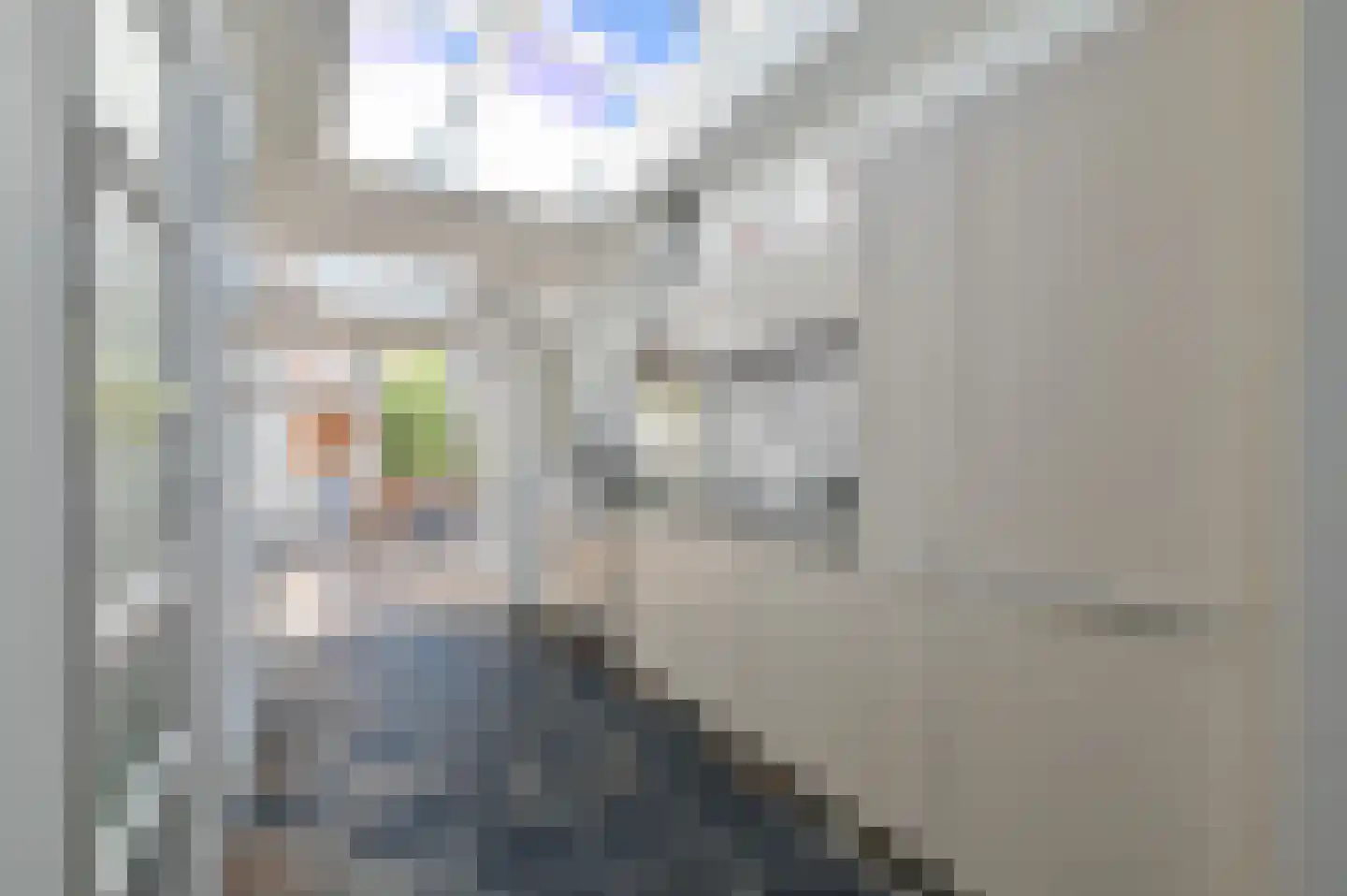 Drieboomlaan 123 Hoorn thumbnail 8