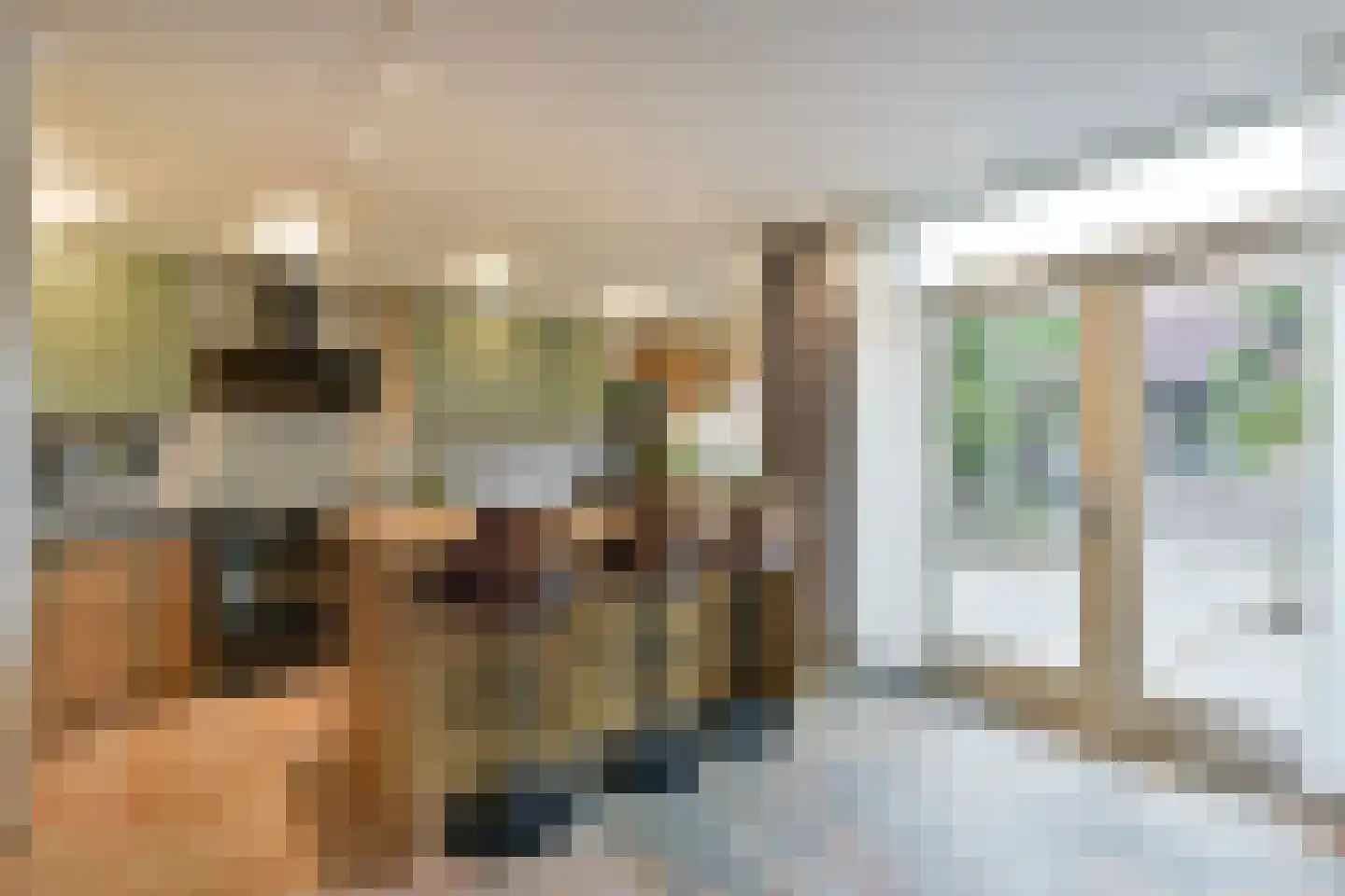 Drieboomlaan 140 Hoorn thumbnail 12