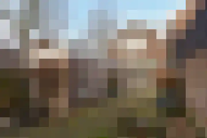 Drieboomlaan 166 Hoorn thumbnail 28