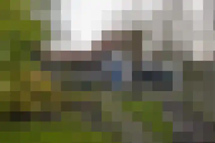 Drieboomlaan 166 Hoorn thumbnail 30
