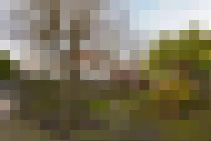 Drieboomlaan 166 Hoorn thumbnail 32