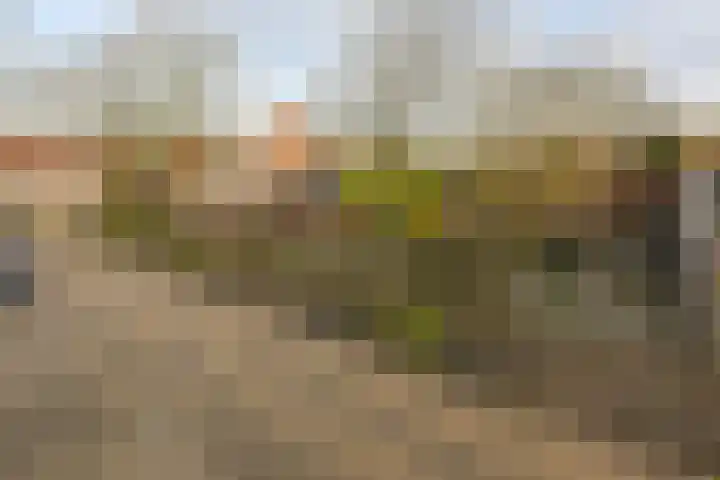 Drieboomlaan 166 Hoorn thumbnail 33
