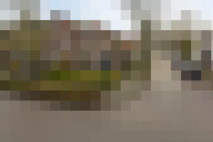 Drieboomlaan 166 Hoorn thumbnail 34
