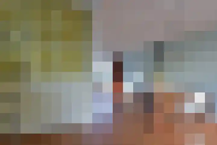 Drieboomlaan 166 Hoorn thumbnail 8