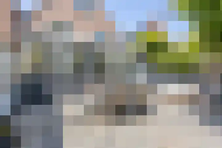 Drieboomlaan 170 Hoorn thumbnail 25