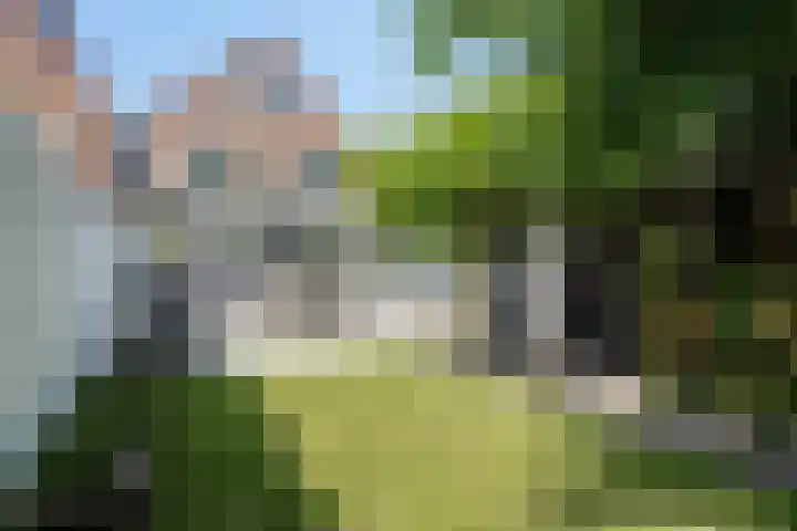 Drieboomlaan 170 Hoorn thumbnail 28