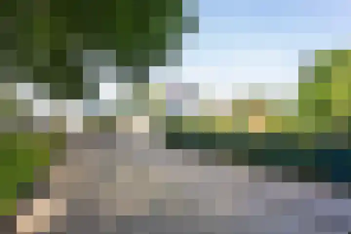 Drieboomlaan 170 Hoorn thumbnail 29
