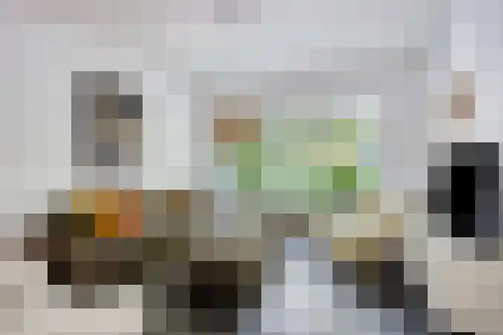 Drieboomlaan 170 Hoorn thumbnail 8