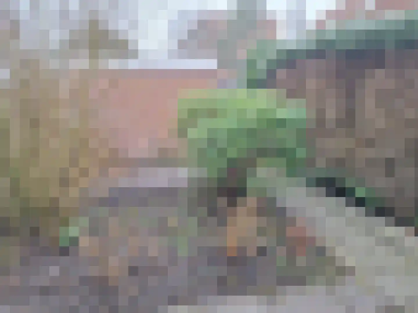 Drieboomlaan 181 Hoorn thumbnail 12