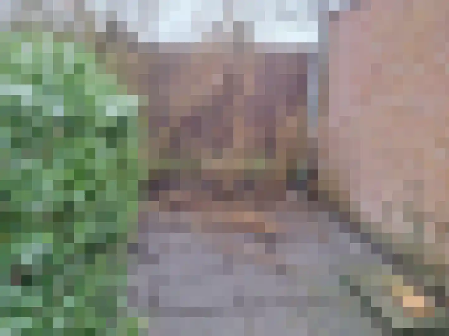 Drieboomlaan 181 Hoorn thumbnail 13