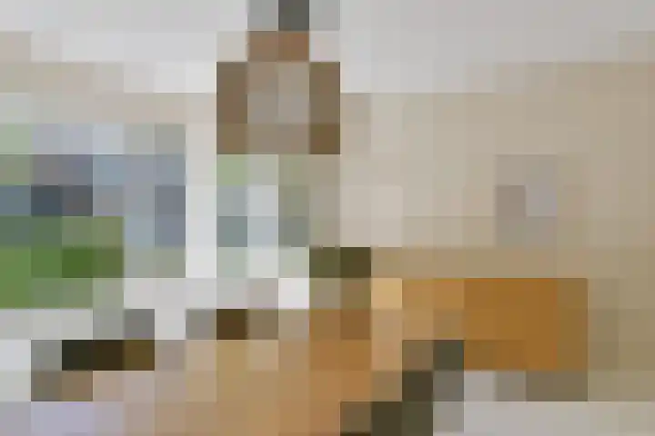 Drieboomlaan 197 Hoorn thumbnail 11